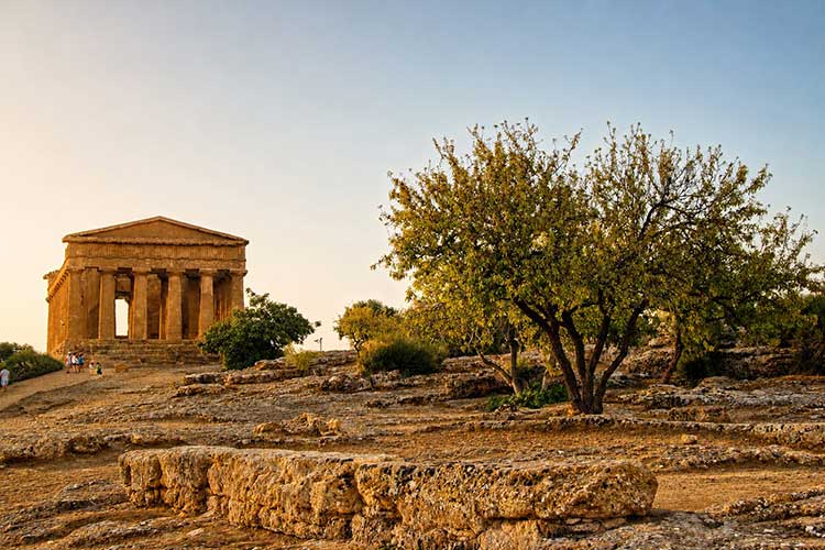 Cultural Immersion - Event in Sicily