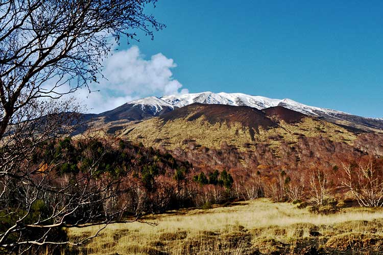 Etna & Wine Routes - Event in Sicily